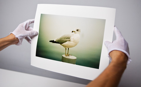 Giclée prints