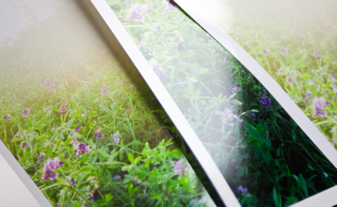 matte, glossy or metallic photo prints