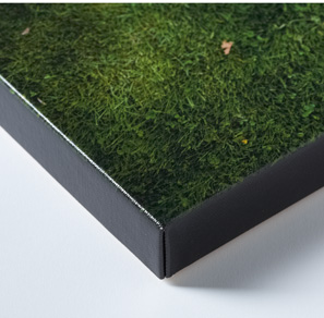 Streched Canvas Print