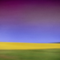 Online Photography Gallery