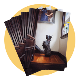Cards and calendars