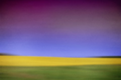 Online Photography Gallery