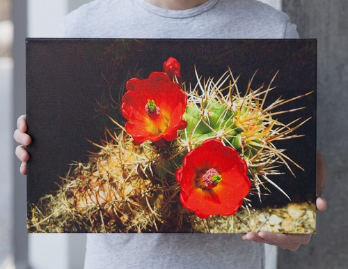 Canvas Wrap